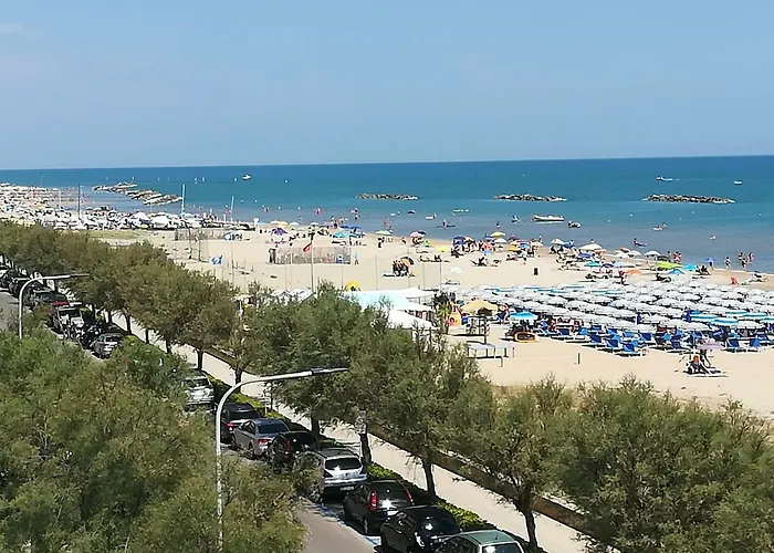 Duchi Della Rovere * Senigallia